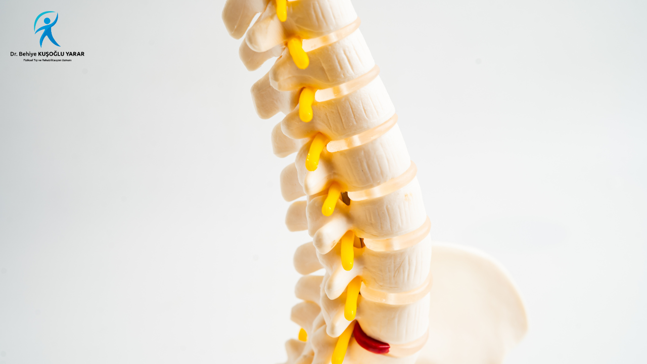 Konya Bel Fıtığı Tedavisi